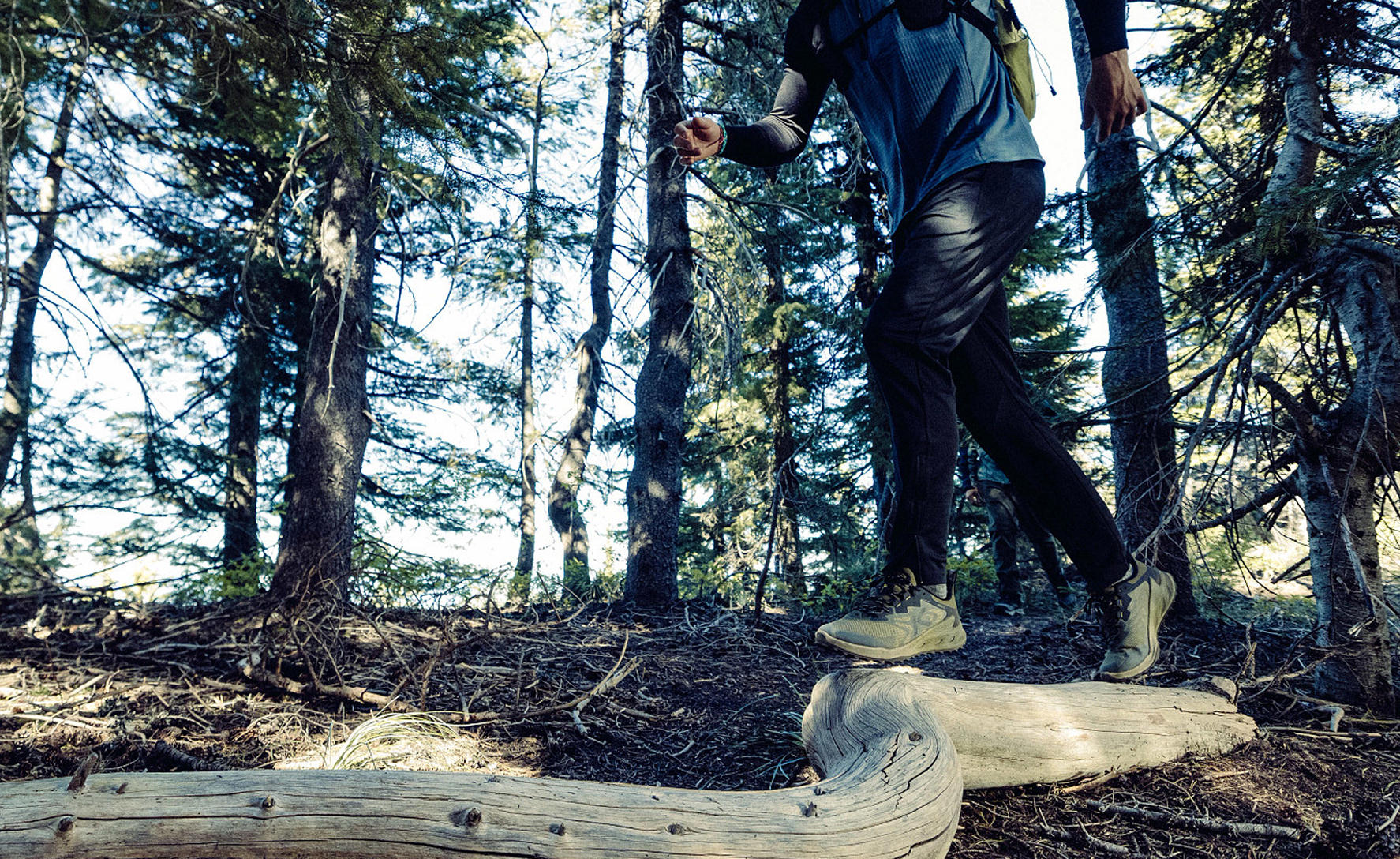 Men's Zionic NXT Waterproof Hiking Shoe | Martini Olive/Lemon Curry - Image 7