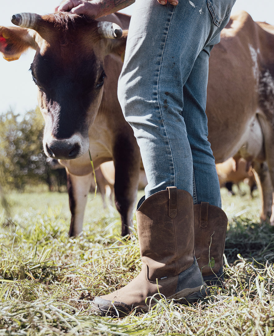 Women's Evanston Pull-On Waterproof Boot (Carbon Toe) | Bison/Black - Image 8